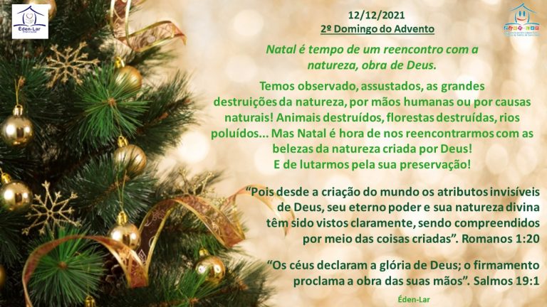 Read more about the article Mês do Advento – Dia 12